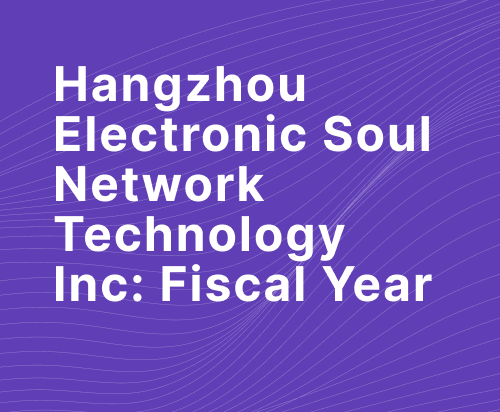 Full Hangzhou Electronic Soul Network Technology Fiscal Year 2022 Overview