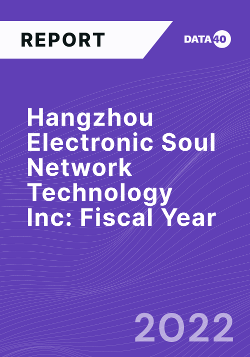 Full Hangzhou Electronic Soul Network Technology Fiscal Year 2022 Overview